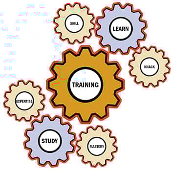 How To Operate A High-Level Order Picker - South Coast Forklift Training Learning To Use A High-Level Order Picker