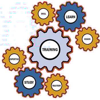 How To Operate A Medium-Level Order Picker - South Coast Forklift Training Learning To Use A Medium-Level Order Picker