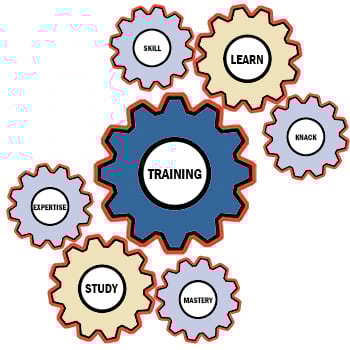 How To Operate A Pallet Stacker - South Coast Forklift Training Learning To Use A Pallet Stacker