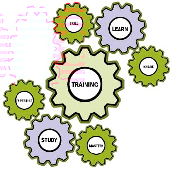 Interconnected gears labelled with training‑related terms such as skill, learn, study, and mastery.