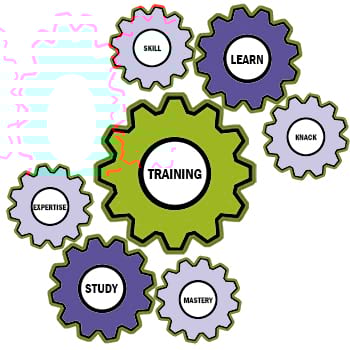 Interconnected gears labelled with training‑related terms such as skill, learn, study, and mastery.