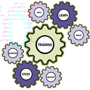 Interconnected gears labelled with training‑related terms such as skill, learn, study, and mastery.